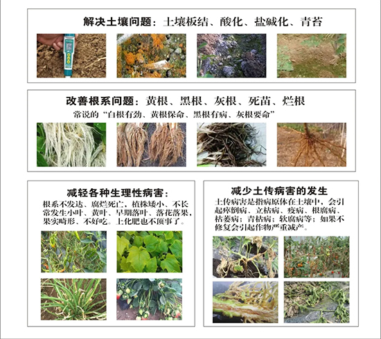 新疆中特煤腐植酸有限公司3.jpg